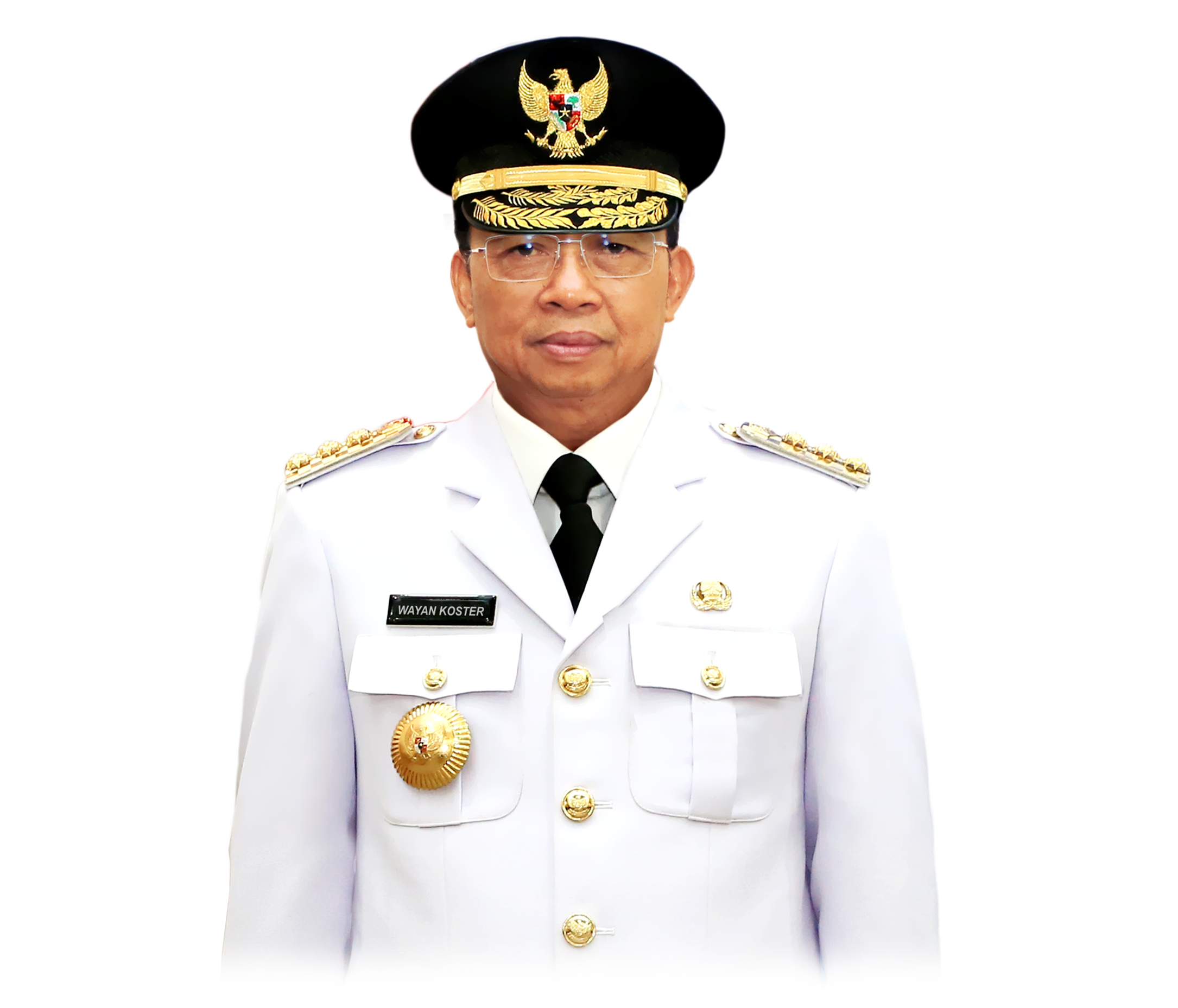 Portrait of Dr. Bani Maulana Mulia